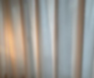 旅行がない週の、静かな家庭の日常を感じる室内の光