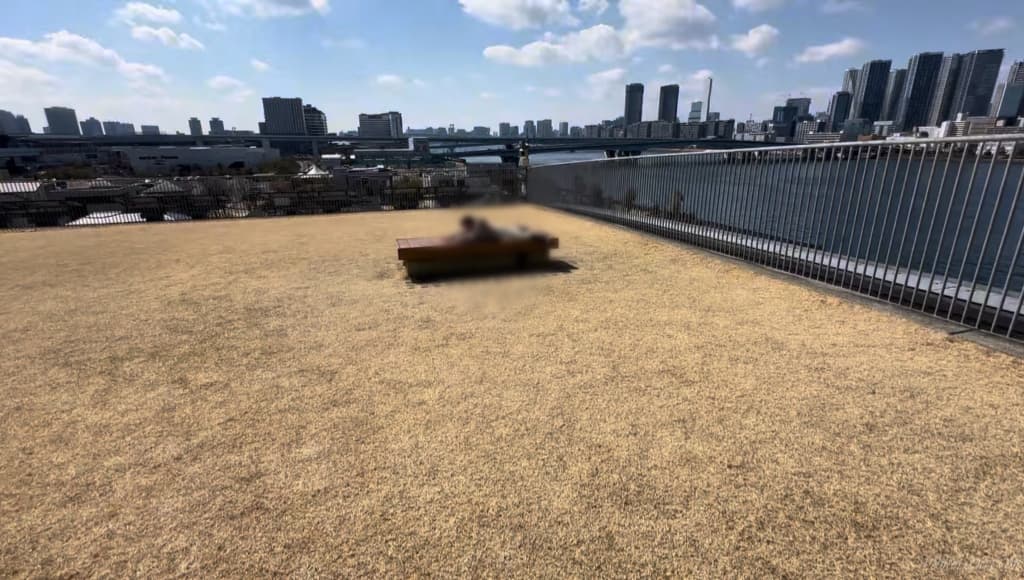 がすてなーに 屋上芝生スペース