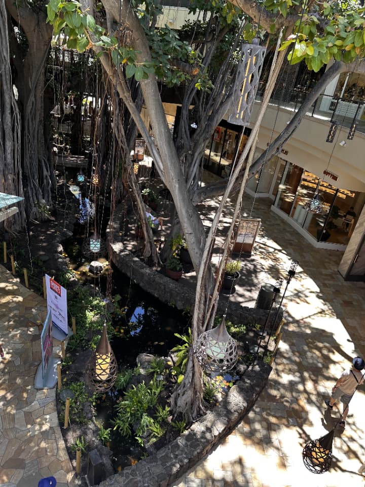 インターナショナルマーケットプレイスのバニヤンツリー下は日陰が多く、海遊び後の休憩に最適。